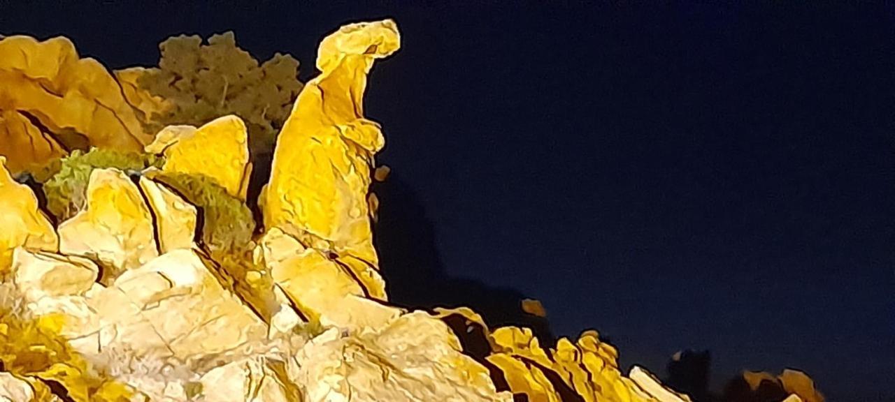 U Riposu Di A Cupulatta Bed and Breakfast Sollacaro Exterior foto